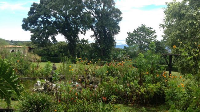 Hotel Desire Costa Rica Santa Barbara de Heredia ภายนอก รูปภาพ